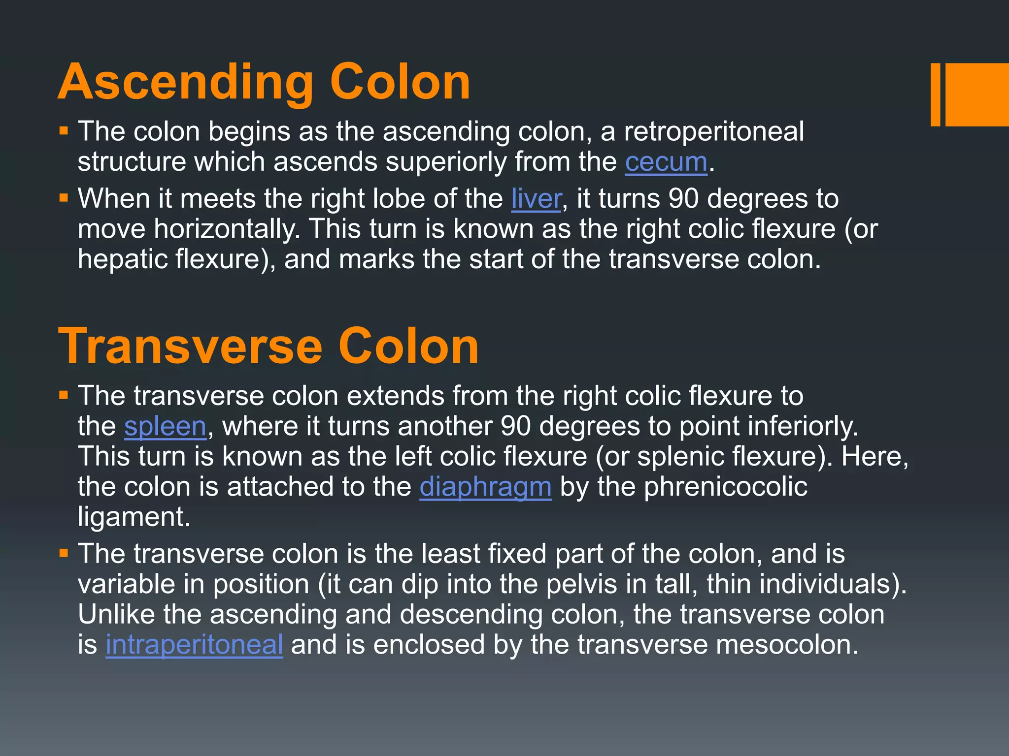 Colon/Large Intestine. | PPTX