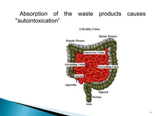 Hydrox Defecation Colon-hydrotherapy | PPT