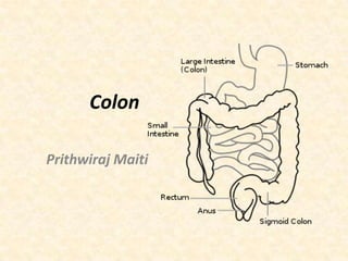 Colon
Prithwiraj Maiti

 