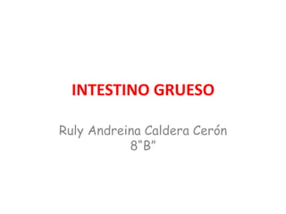 INTESTINO GRUESO
Ruly Andreina Caldera Cerón
8“B”
 