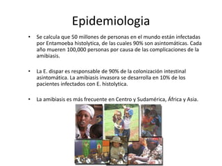 Epidemiologia
• Se calcula que 50 millones de personas en el mundo están infectadas
por Entamoeba histolytica, de las cuales 90% son asintomáticas. Cada
año mueren 100,000 personas por causa de las complicaciones de la
amibiasis.
• La E. dispar es responsable de 90% de la colonización intestinal
asintomática. La amibiasis invasora se desarrolla en 10% de los
pacientes infectados con E. histolytica.
• La amibiasis es más frecuente en Centro y Sudamérica, África y Asia.
 