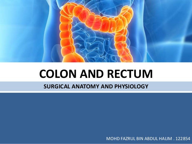 Colon and Rectum Surgical Anatomy and Physiology Biology Diagrams