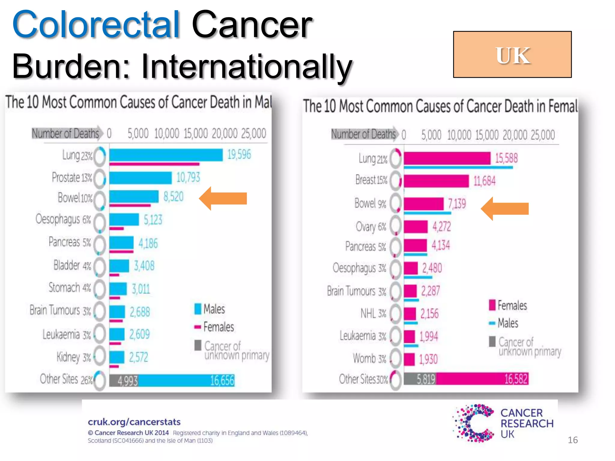 Colorectal Cancer
Burden: Internationally UK
16
 