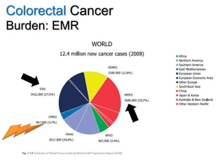Colorectal Cancer
Burden: EMR
19
 