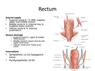 Rectum
Arterial supply
• Superior rectal A – fr. IMA; supplies
upper and middle rectum
• Middle rectal A- fr. Internal iliac A.
(supplies lower rectum)
• Inferior rectal A- fr. Internal
pudendal A.
Venous drainage
– Superior rectal V- upper & middle
third rectum
– Middle rectal V- lower rectum and
upper anal canal
– Inferior rectal vein- lower anal
canal
Innervations
• Sympathetic: L1-L3, Hypogastric
nerve
• ParaSympathetic: S2-S4
 