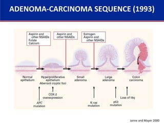 Janne and Mayer 2000
ADENOMA-CARCINOMA SEQUENCE (1993)
 