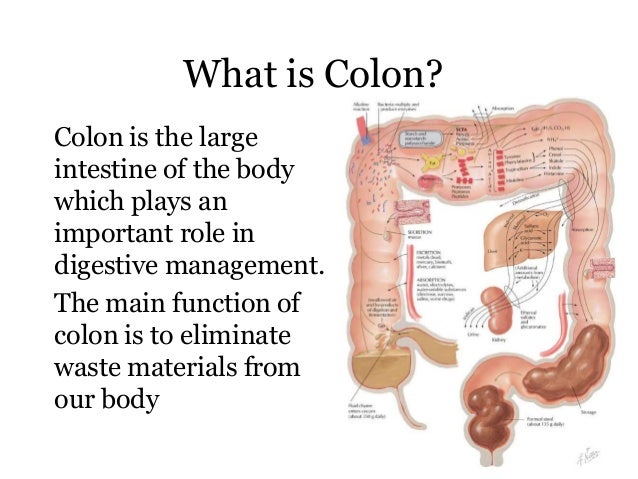 Colon Cleanse