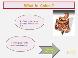 What  Is  Colon ?    ,[object Object]