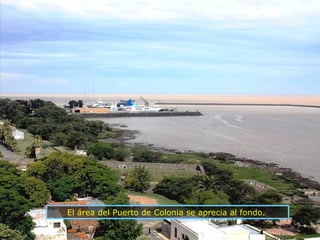 El área del Puerto de Colonia se aprecia al fondo.  