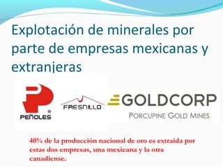 Explotación de minerales por 
parte de empresas mexicanas y 
extranjeras 
40% de la producción nacional de oro es extraída por 
estas dos empresas, una mexicana y la otra 
canadiense. 
 