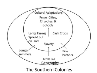 The Southern Colonies
Geography:
Cultural Adaptations
Fertile Soil
Few
harbors
Longer
summers
Large Farms/
Spread out
on land
Slavery
Cash Crops
Fewer Cities,
Churches, &
Schools
 