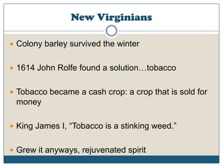New VirginiansColony barley survived the winter1614 John Rolfe found a solution…tobaccoTobacco became a cash crop: a crop that is sold for moneyKing James I, “Tobacco is a stinking weed.”Grew it anyways, rejuvenated spirit