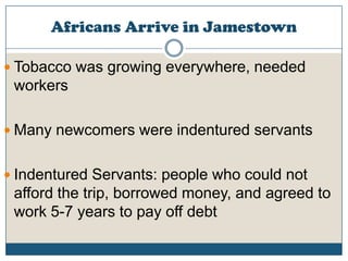 Africans Arrive in JamestownTobacco was growing everywhere, needed workersMany newcomers were indentured servantsIndentured Servants: people who could not afford the trip, borrowed money, and agreed to work 5-7 years to pay off debt 