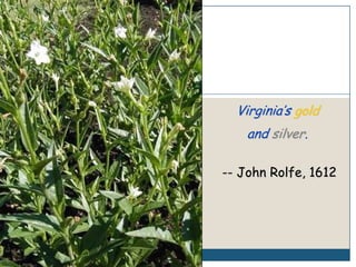 Virginia’s gold and silver.-- John Rolfe, 1612