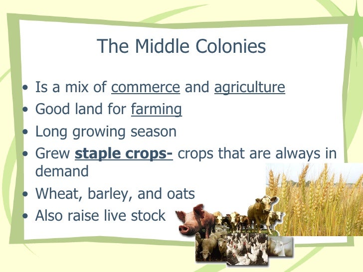 Colonial economy