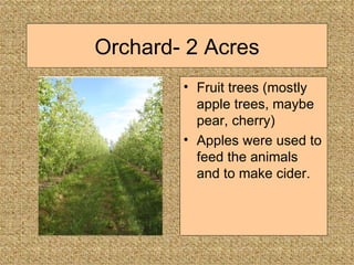 Orchard- 2 Acres Fruit trees (mostly apple trees, maybe pear, cherry) Apples were used to feed the animals and to make cider. 