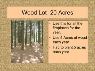 Wood Lot- 20 Acres Use this for all the fireplaces for the year. Use 5 Acres of wood each year Had to plant 5 acres each year 