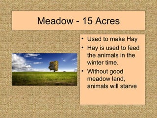 Meadow - 15 Acres Used to make Hay Hay is used to feed the animals in the winter time.  Without good meadow land, animals will starve 