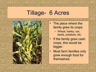 Tillage-  6 Acres The place where the family grew its crops. Wheat, barley, rye, beets, potatoes, etc. If the family grew cash crops, this would be bigger. Most farm families only grew enough food for themselves. 