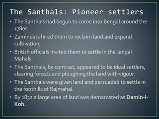 • The Santhals had begun to come into Bengal around the
1780s.
• Zamindars hired them to reclaim land and expand
cultivation,
• British officials invited them to settle in the Jangal
Mahals.
• The Santhals, by contrast, appeared to be ideal settlers,
clearing forests and ploughing the land with vigour.
• The Santhals were given land and persuaded to settle in
the foothills of Rajmahal.
• By 1832 a large area of land was demarcated as Damin-i-
Koh.
 