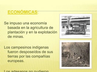 ECONÓMICAS:
Se impuso una economía
basada en la agricultura de
plantación y en la explotación
de minas.
Los campesinos indígenas
fueron desposeídos de sus
tierras por las compañías
europeas.

 