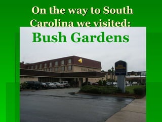 On the way to South Carolina we visited:   Bush Gardens   