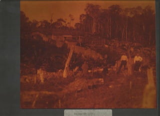 Acervo Firpo: Colônias étnicas