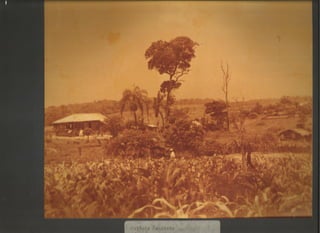 Acervo Firpo: Colônias étnicas