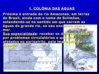 1. COLÔNIA DAS ÁGUAS
Próxima à entrada do rio Amazonas, em terras
do Brasil, ainda com o nome de Solimões,
estendendo-se no sentido em que correm as
águas do grande rio, no seu encontro com o
mar.
Sua especialidade : receber os desencarnados
por problemas circulatórios e que são
afetados no perispírito, pela impressão da
doença.
 