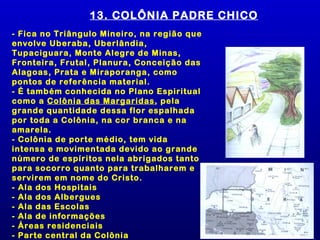 13. COLÔNIA PADRE CHICO
- Fica no Triângulo Mineiro, na região que
envolve Uberaba, Uberlândia,
Tupaciguara, Monte Alegre de Minas,
Fronteira, Frutal, Planura, Conceição das
Alagoas, Prata e Miraporanga, como
pontos de referência material.
- É também conhecida no Plano Espiritual
como a Colônia das Margaridas, pela
grande quantidade dessa flor espalhada
por toda a Colônia, na cor branca e na
amarela.
- Colônia de porte médio, tem vida
intensa e movimentada devido ao grande
número de espíritos nela abrigados tanto
para socorro quanto para trabalharem e
servirem em nome do Cristo.
- Ala dos Hospitais
- Ala dos Albergues
- Ala das Escolas
- Ala de informações
- Áreas residenciais
- Parte central da Colônia
 