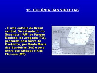 16. COLÔNIA DAS VIOLETAS




- É uma colônia do Brasil
central. Se estende do rio
Sucunduri (AM) ao Parque
Nacional do Araguaia (TO),
passando pela Serra do
Cachimbo, por Santa Maria
das Bandeiras (PA) e pela
Serra dos Apiaçás e Alta
Floresta (MT).
 