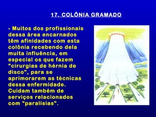 17. COLÔNIA GRAMADO

- Muitos dos profissionais
dessa área encarnados
têm afinidades com esta
colônia recebendo dela
muita influência, em
especial os que fazem
“cirurgias de hérnia de
disco”, para se
aprimorarem as técnicas
dessa enfermidade.
Cuidam também de
serviços relacionados
com “paralisias”.
 