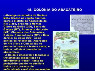 18. COLÔNIA DO ABACATEIRO
- Abrange os estados de Goiás e
Mato Grosso na região que fica
entre o distrito de Aparecida do
Rio Claro, próximo a Montes
Claros de Goiás (GO), Barra do
Garças (MT), Primavera do Leste
(MT), Chapada dos Guimarães,
Cuiabá, Rondonópolis (MT) e Bom
Jardim de Goiás (GO), como
pontos de referência. Aparecida
do Rio Claro e Cuiabá são os
pontos extremos a leste e oeste, e
toda a colônia é cercada de
abacateiros.
- A Colônia desenvolve técnicas e
tratamentos específicos no
atendimento “renal”, tanto no
perispírito quanto no auxílio a
todos os processos de
enfermidade renal dos encarnados
 