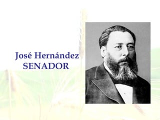José Hernández SENADOR   