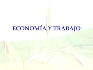 ECONOMÍA Y TRABAJO 