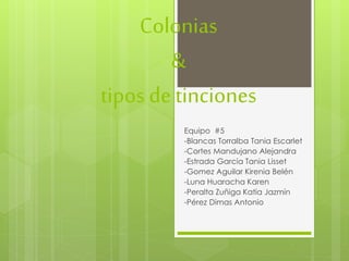 Colonias 
& 
tipos de tinciones 
Equipo #5 
-Blancas Torralba Tania Escarlet 
-Cortes Mandujano Alejandra 
-Estrada García...