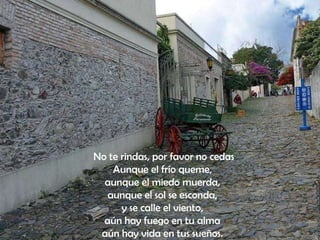 No te rindas, por favor no cedas Aunque el frío queme,  aunque el miedo muerda,  aunque el sol se esconda,  y se calle el viento,  aún hay fuego en tu alma  aún hay vida en tus sueños.   