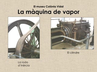 El museu Colònia Vidal La màquina de vapor El cilindre La roda d’inèrcia 