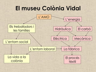 El museu Colònia Vidal La fàbrica L’energia Hidràulica El carbó El procés tèxtil Mecànica Elèctrica L’AMO Els treballadors i les famílies L’entorn laboral L’entorn social La vida a la colònia 