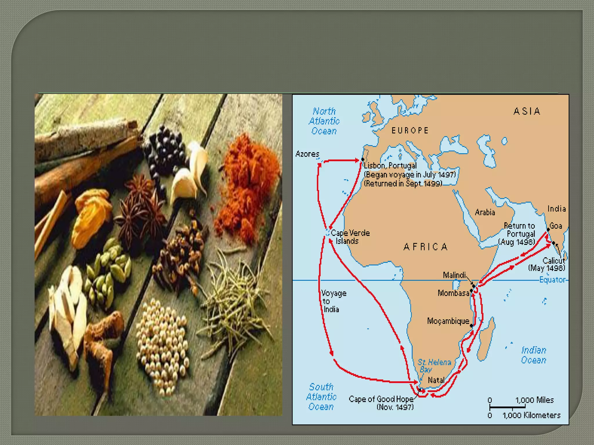 BRITISH COLONIZATION AT THE CAPE | PPTX