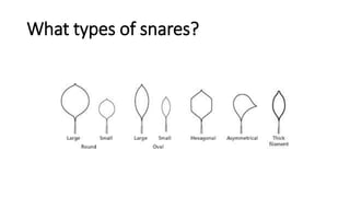 What types of snares?
 