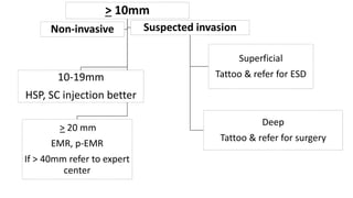 > 10mm
10-19mm
HSP, SC injection better
> 20 mm
EMR, p-EMR
If > 40mm refer to expert
center
Non-invasive Suspected invasion
Superficial
Tattoo & refer for ESD
Deep
Tattoo & refer for surgery
 
