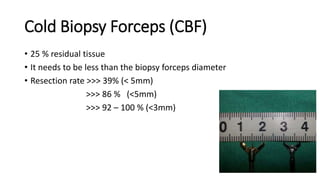 Cold Biopsy Forceps (CBF)
• 25 % residual tissue
• It needs to be less than the biopsy forceps diameter
• Resection rate >>> 39% (< 5mm)
>>> 86 % (<5mm)
>>> 92 – 100 % (<3mm)
 