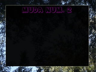 Muda num. 2
 