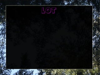 lot
 