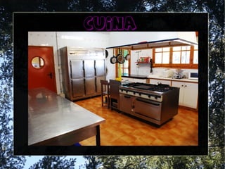 cuina
 