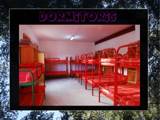 dormitoris
 
