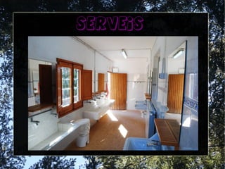 serveis
 