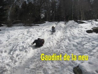 Gaudint de la neu 
