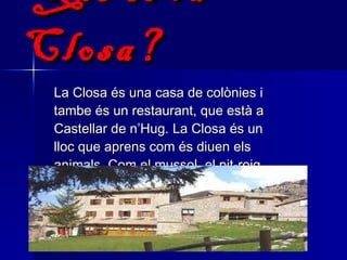 Què és la Closa? La Closa és una casa de colònies i tambe és un restaurant, que està a Castellar de n’Hug. La Closa és un lloc que aprens com és diuen els animals. Com el mussol, el pit-roig… 